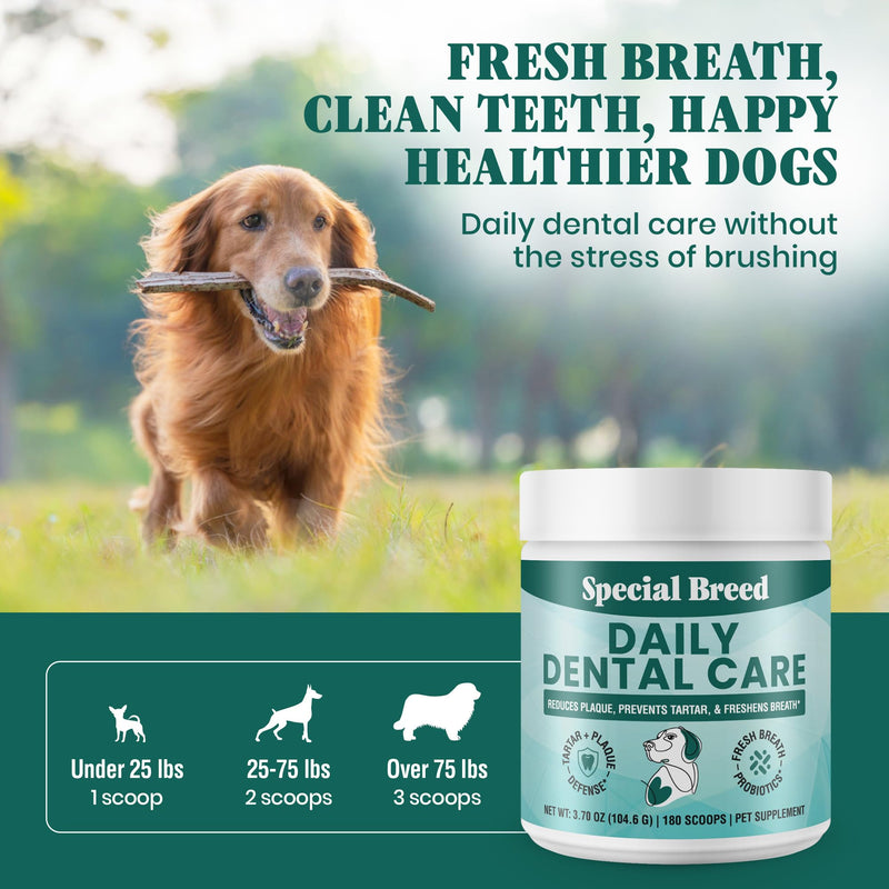 Dog Teeth Cleaning Powder – Natural Dog Dental Powder for Tartar Control, Fresh Breath & Gum Health – Daily Plaque Remover with Zeolite, Brown Algae, Probiotics & Rosemary – 180 Scoops 3.7 Ounce (Pack of 1)