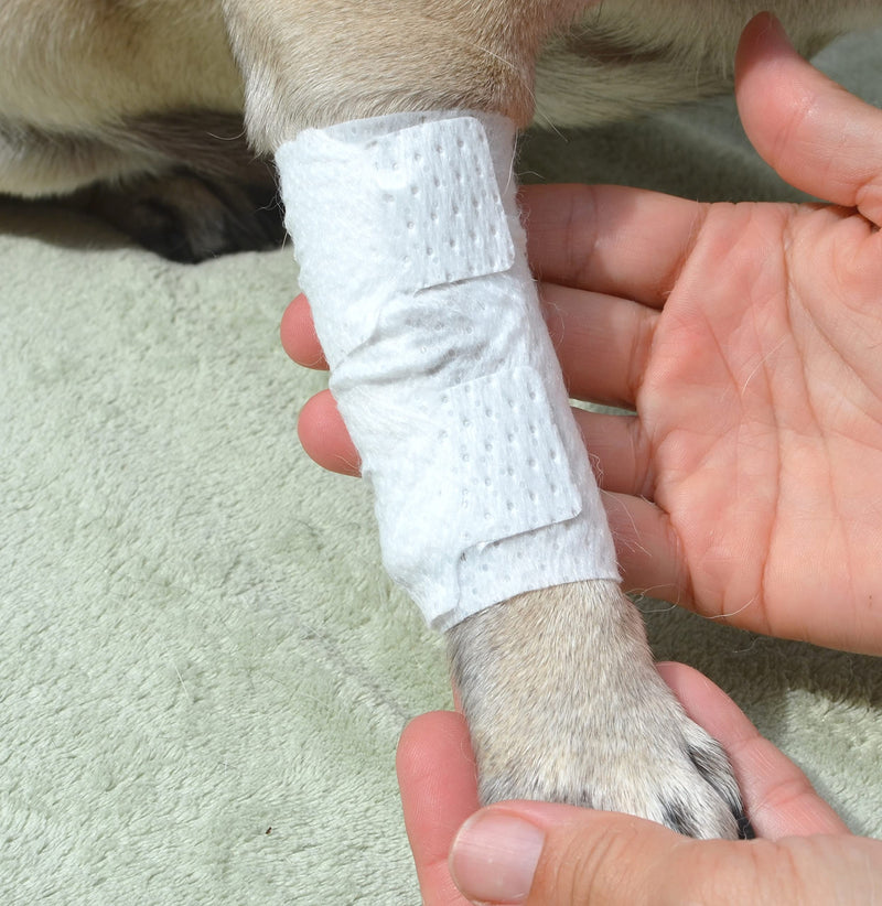 Joint and Large Area Wound Bandages for Dogs Cats & Other Pets. Great for Leg Joint sprains and Tail Injuries! Non Adhesive Breathable Non-Slip Disposable Washable Value Pack (Medium 12pk) White Medium 12pk - PawsPlanet Australia