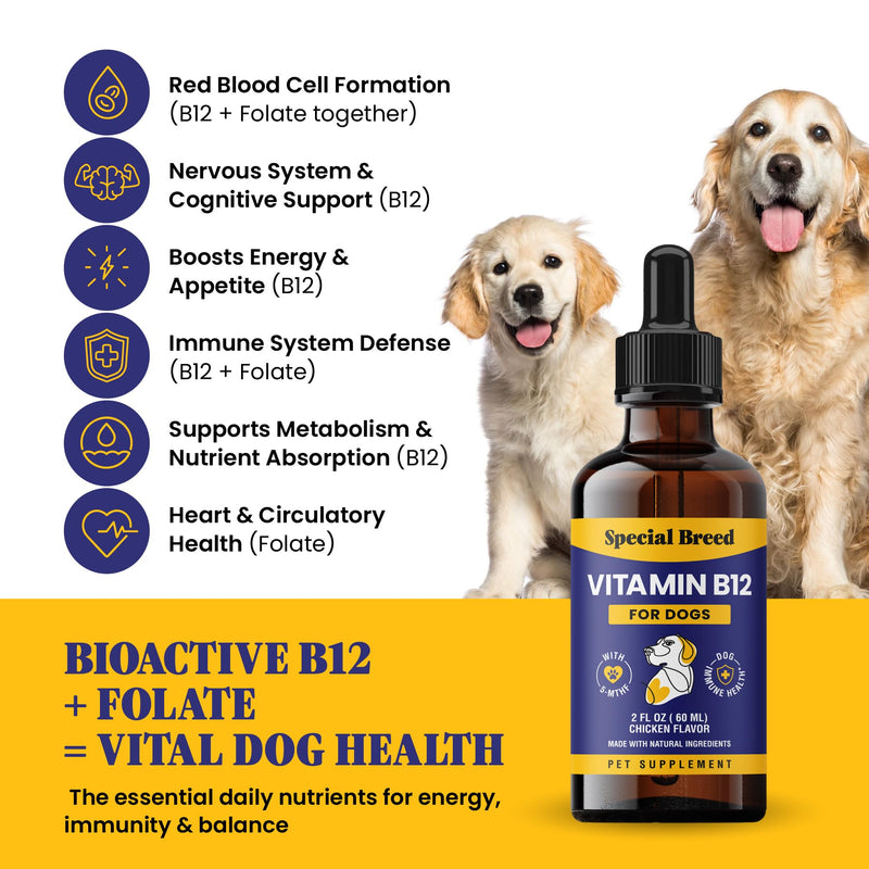 Special Breed Liquid Vitamin B12 for Dogs – Methylcobalamin and 5-MTHF – Boosts Energy, Appetite, Mood & Immune System Support, Easy-to-Use Dropper - Chicken Flavor, 2 fl oz - PawsPlanet Australia