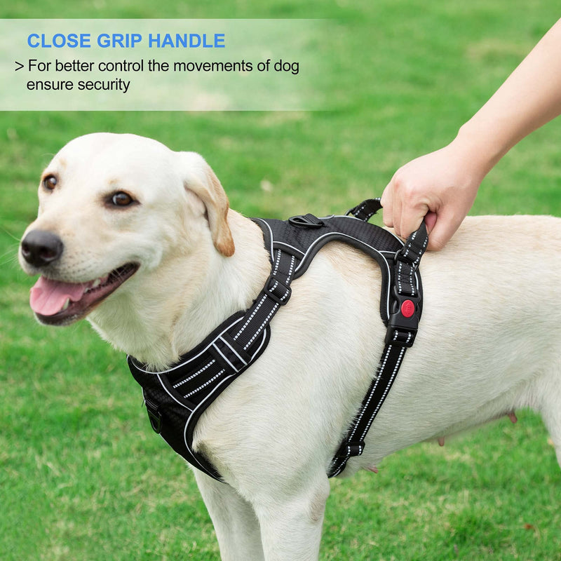 haapaw No Pull Dog Harness Adjustable Reflective Oxford Easy Control Medium Large Dog Harness with a Free Heavy Duty Dog Lead S Blue, harness+lead