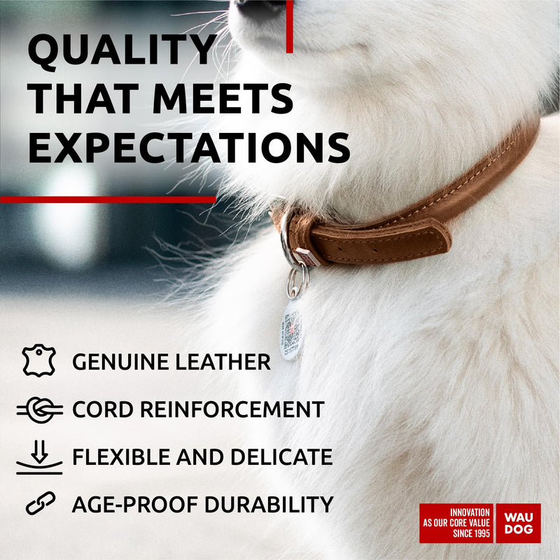 WAUDOG Ultra Soft Rolled Leather Dog Collar - Soft Padded for Small and Medium Breeds - Puppy Collar for Male and Female Dogs 8" - 9.5" Neck Brown