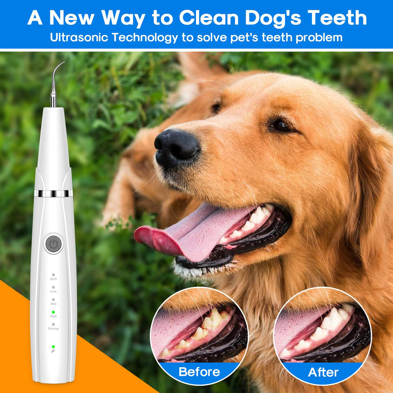Dog Teeth Cleaning Kit for Pet Teeth Cleaning, Dog Plaque Remover for Teeth, 5 Modes Dog Tartar Remover for Teeth Care to Remove Stains Calculus, 10 in 1 Pet Cleaner Toothbrush (White) White - PawsPlanet Australia