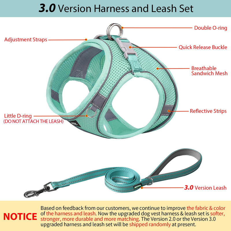 AIITLE No Pull Dog Harness and Leash Set, Step in Adjustable Dog Harness with Padded Vest for All Weather, Dog Leash with Soft Padded Handle, Easy to Put on Small and Medium Dogs Pure Turquoise S S(Chest: 13.5 - 16") - PawsPlanet Australia