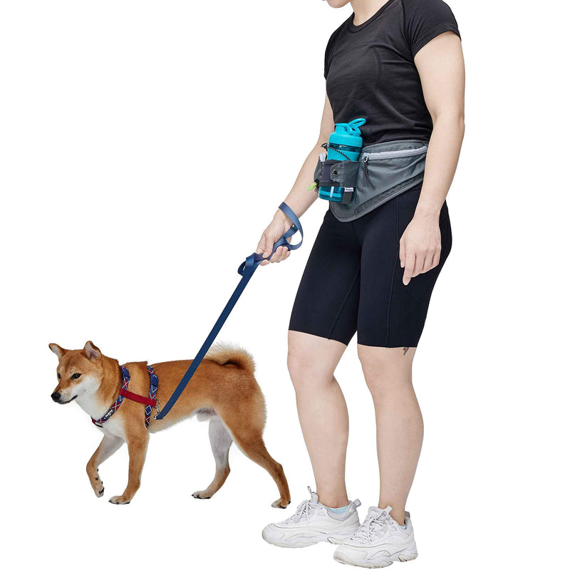 Blueberry Style All-Purpose Multi-Function Dog Walking Bag, Bumbag Waist Bag Fanny Pack - Built-in Poop Bag Holder, Dog Treat Pouch, Adjustable Waistband, and Bottle Holder 16.5" * 7" * 2" 1 Pack Waist Bag - Grey - PawsPlanet Australia