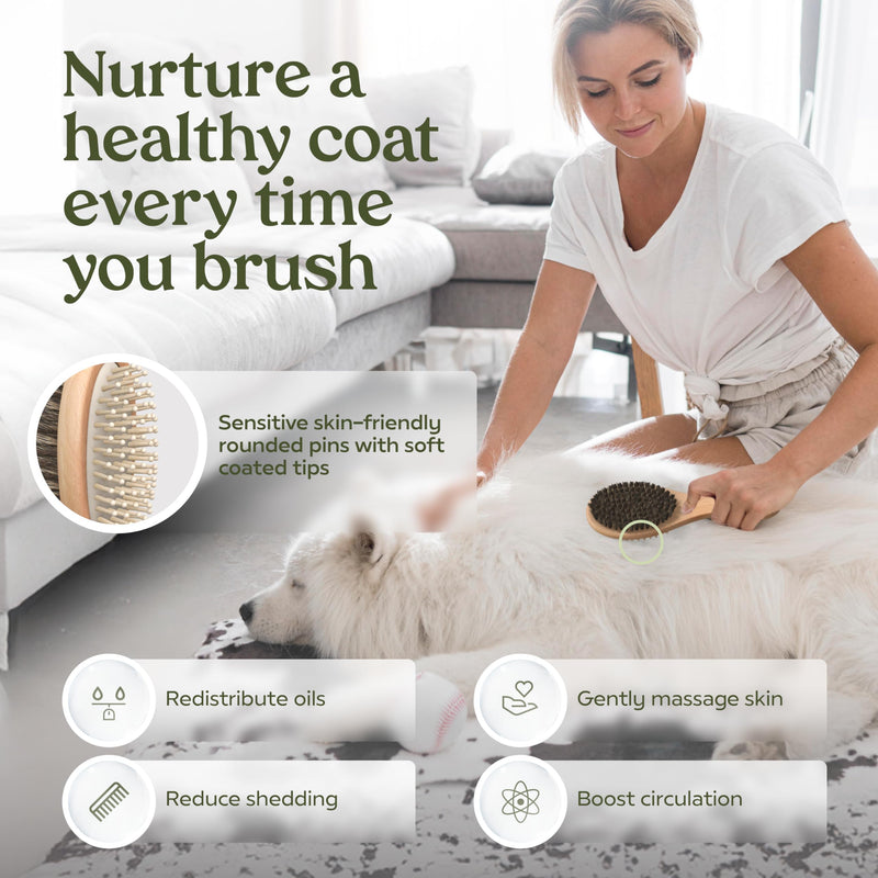 PAWFUME 2-in-1 Cat & Dog Brush – Sculpt Salon-Soft Coats in Minutes – Rubber-Tipped Pins, Smooth Tangles, Wood-Handle Comfort, & Gently Massages Skin – Doubles as a Cat Brush for All Breeds - PawsPlanet Australia