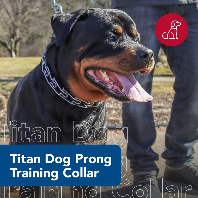 Coastal Pet Titan Dog Prong Training Collar - Rust-Resistant and Prong Metal Training Chain Collar for Dogs - Quality Supplies - 3.3 mm x 20" 3.3 mm x 20" (Pack of 1) - PawsPlanet Australia
