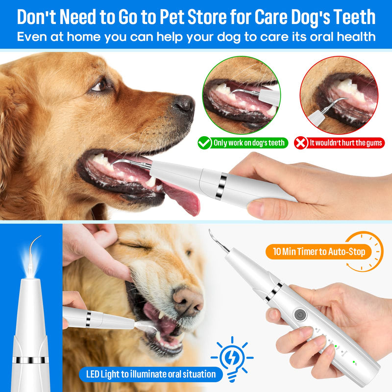 Dog Teeth Cleaning Kit for Pet Teeth Cleaning, Dog Plaque Remover for Teeth, 5 Modes Dog Tartar Remover for Teeth Care to Remove Stains Calculus, 10 in 1 Pet Cleaner Toothbrush (White) White - PawsPlanet Australia