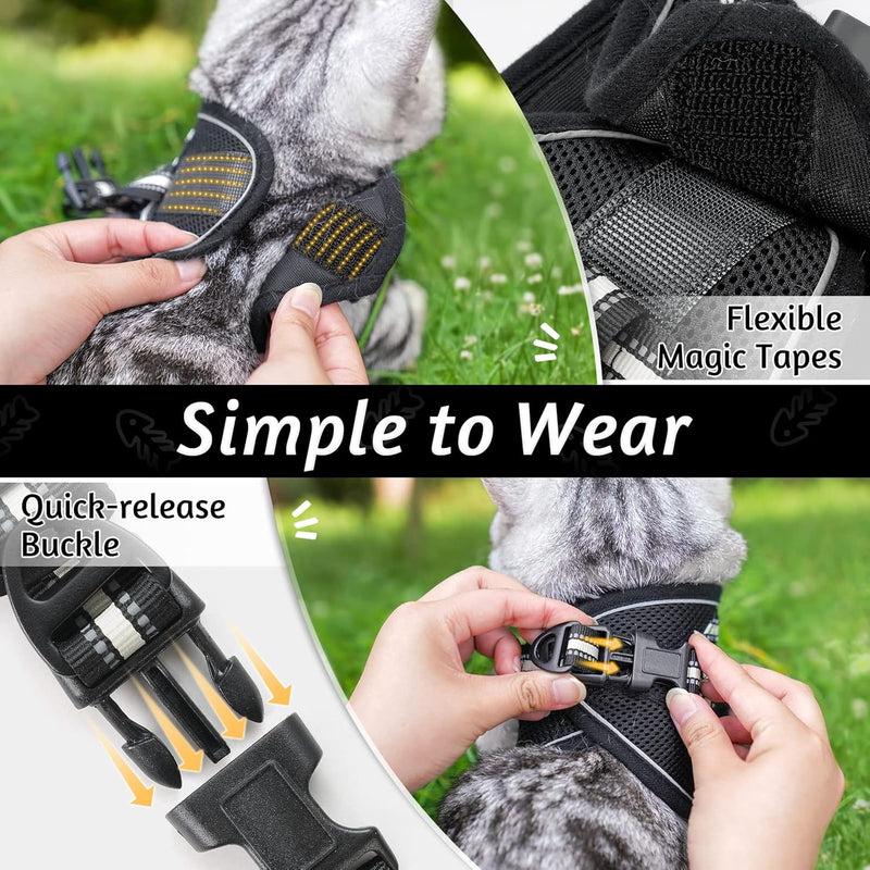 Cat harness with leash - Cat Harness - Cat harness for Maine Coon and for large cats - Cat leash - 1 piece (Schwartz S) - Cat harness with leash for GOOD QUALITY - PawsPlanet Australia