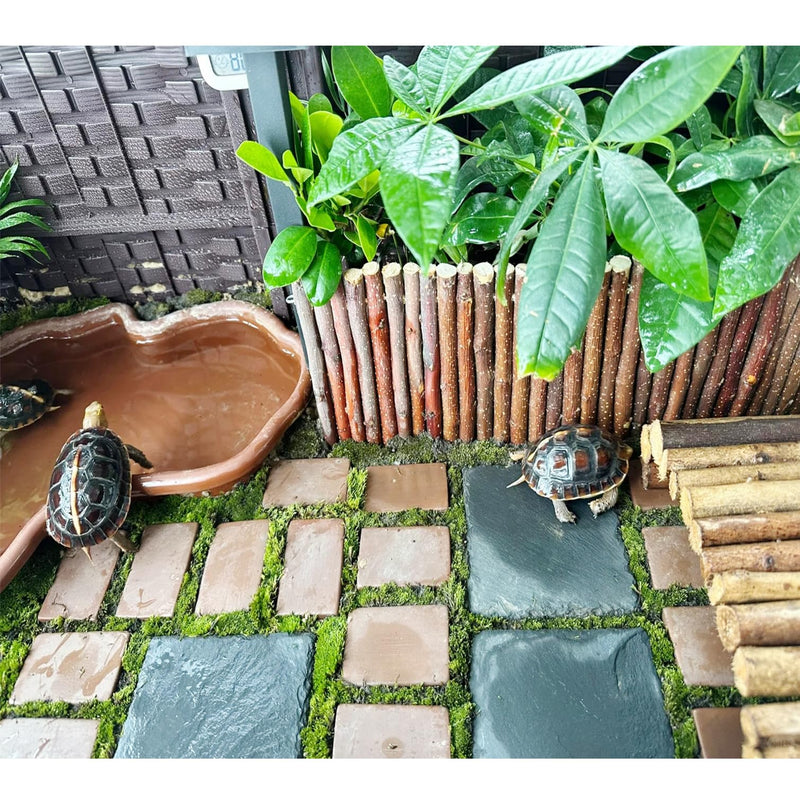 Reptile Basking Platform 6×6 Inch,Slate for Tortoise,Turtle Feeding Slate,Habitat Decor Accessories Basking Rocks for Bearded Dragons Chameleon Snake Frog Lizard Gecko 6 × 6 IN - PawsPlanet Australia