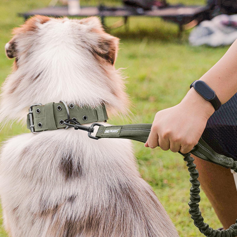 OneTigris Heavy Duty Bungee Dog Leash with Control Handle and Quick Release, Shock Absorption for No Pull Training (Green) Green - PawsPlanet Australia