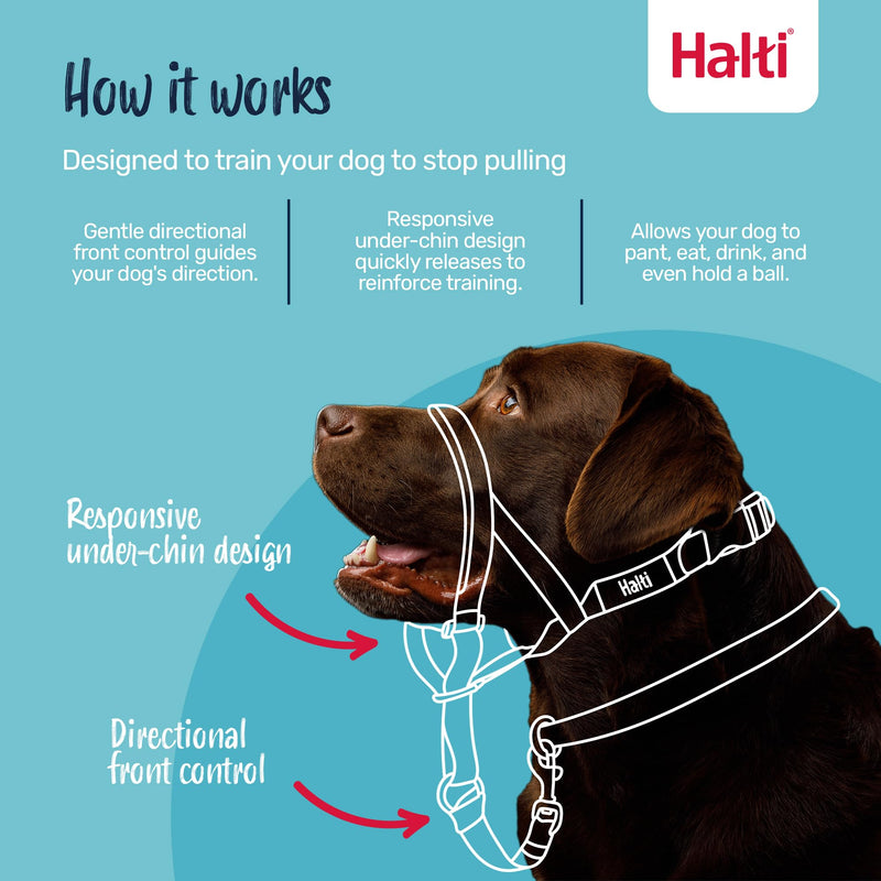 HALTI Headcollar - to Stop Your Dog Pulling on The Leash. Adjustable, Reflective and Lightweight, with Padded Nose Band. Dog Training Anti-Pull Collar for Medium Dogs (Size 2, Burnt Orange) - PawsPlanet Australia