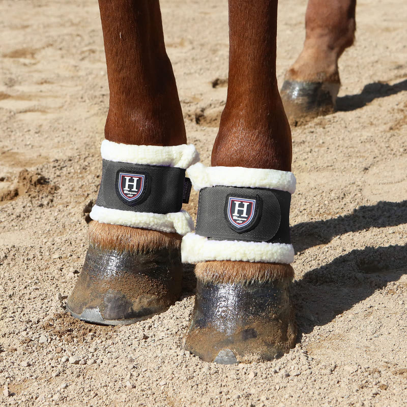 Harrison Howard Essential Premium Horse Pastern Wraps with Berber Fleece Lining, Sold in Pairs Black - PawsPlanet Australia