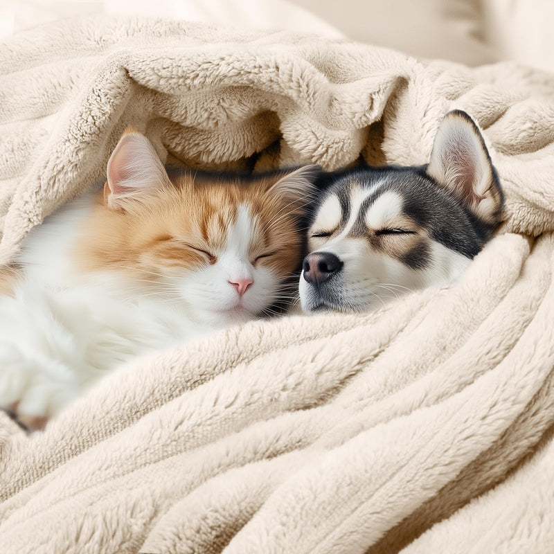 LINENLUX 1 Pack 3 Soft Fleece Dog Blanket for Pet Washable Warm Cat Puppy Fluffy Calming Flannel Beige Medium 30x20 inches (pack of 3) - PawsPlanet Australia