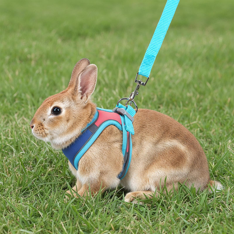 Adjustable Bunny Harness and Leash Set, Double Buckles Breathable Mesh Rabbit Vest with Reflective Strips, Escape Proof Small Pet Walking Training Gear for Rabbits, Kittens, Ferrets, Guinea Pigs (S) - PawsPlanet Australia