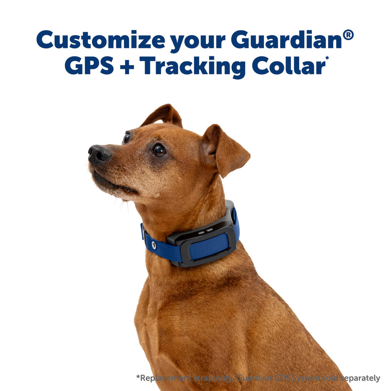 PetSafe Replacement Strap for Guardian GPS 2.0 Dog Fence + Tracking Collar, Made with Soft-Touch Nylon for Enhanced Comfort and Long-Lasting Wear - Water-Wicking, Waterproof Material, Blue - PawsPlanet Australia