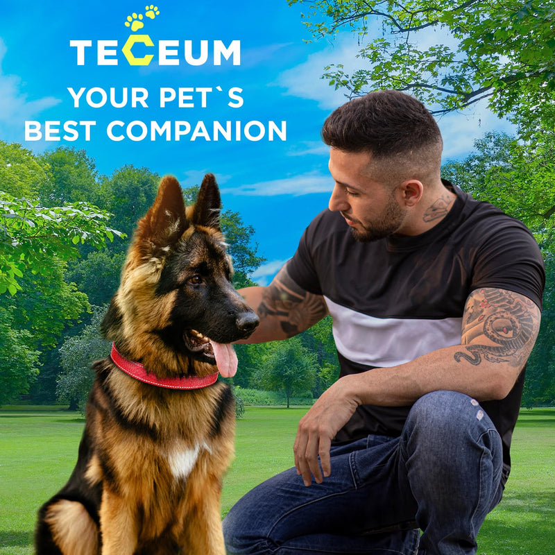 TECEUM Reflective Dog Collar – Red – L – Basic Nylon Pet Collar – Quick Release Buckle – Fits Small, Medium and Large Dogs, Puppies, Cats – ESA & Service Dog Options - PawsPlanet Australia