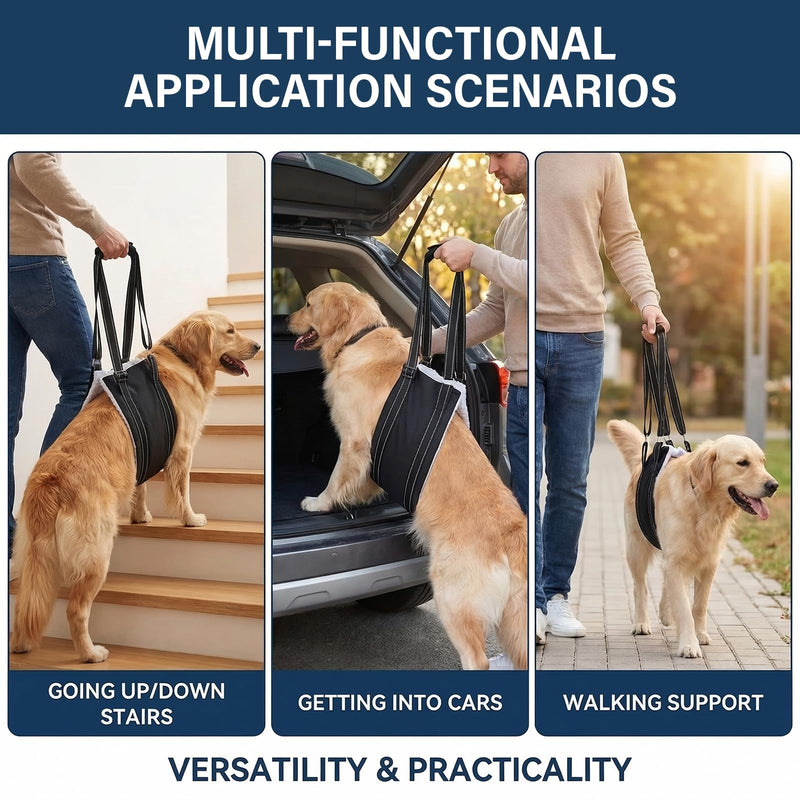 Dog Lift Harness Support Sling, Rear Leg Support Harness for Senior Disabled Dogs, Adjustable Sling with Reflective Strap (Black, L) Black