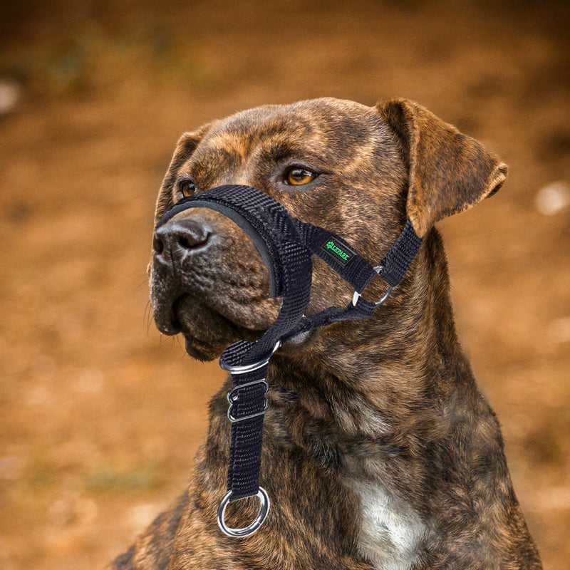 ILEPARK Dog Head Collar with Safety Strap, Head Harness for Dogs to Stop Pulling, Adjustable and Easily Control (M, Black) M