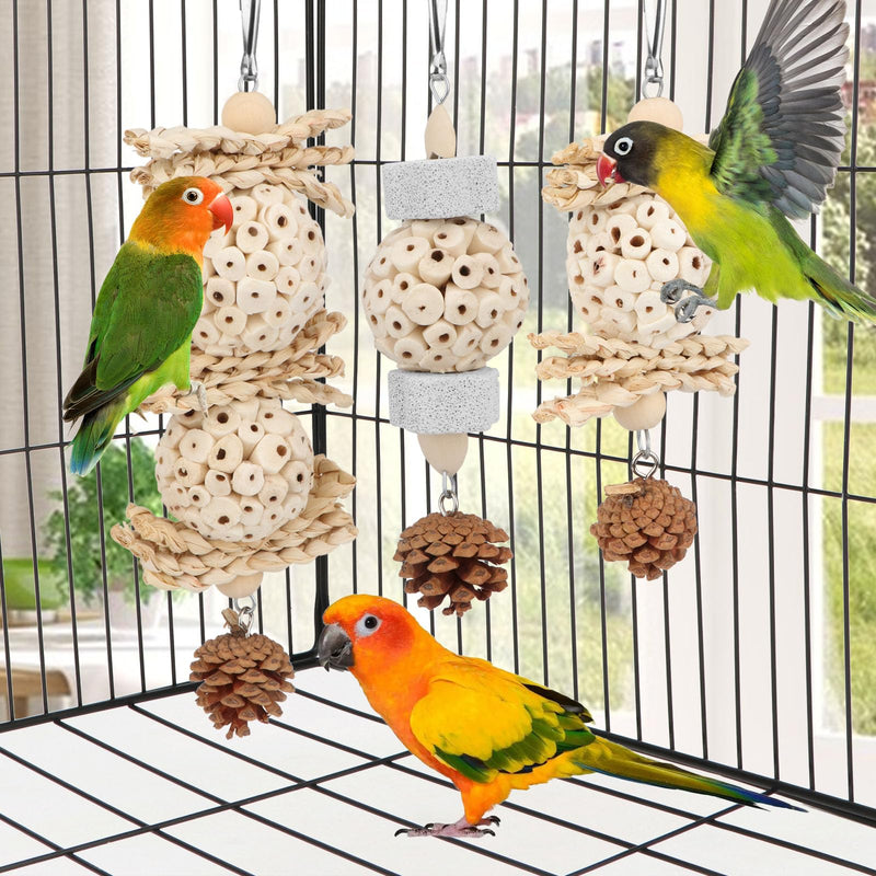 Wontee Bird Toys 3 Pack Parrot Foraging Hanging Toys Sola Ball Natural Nuts Chew Toys for Cockatiels Conures Parakeets Budgies Senegal (3 Pack) - PawsPlanet Australia
