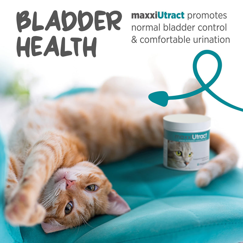 maxxiUtract Urinary and Bladder Supplement for Cats to Help Prevent UTI Recurrence and Support Optimum Urinary Tract Health (2.1 oz) 2.1 Ounce (Pack of 1)