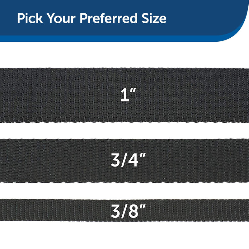 PetSafe Nylon Dog Leash – Strong, Durable, Traditional Style Leash with Easy to Use Bolt Snap for Small, Medium and Large Dogs – 1" x 6', Black - PawsPlanet Australia