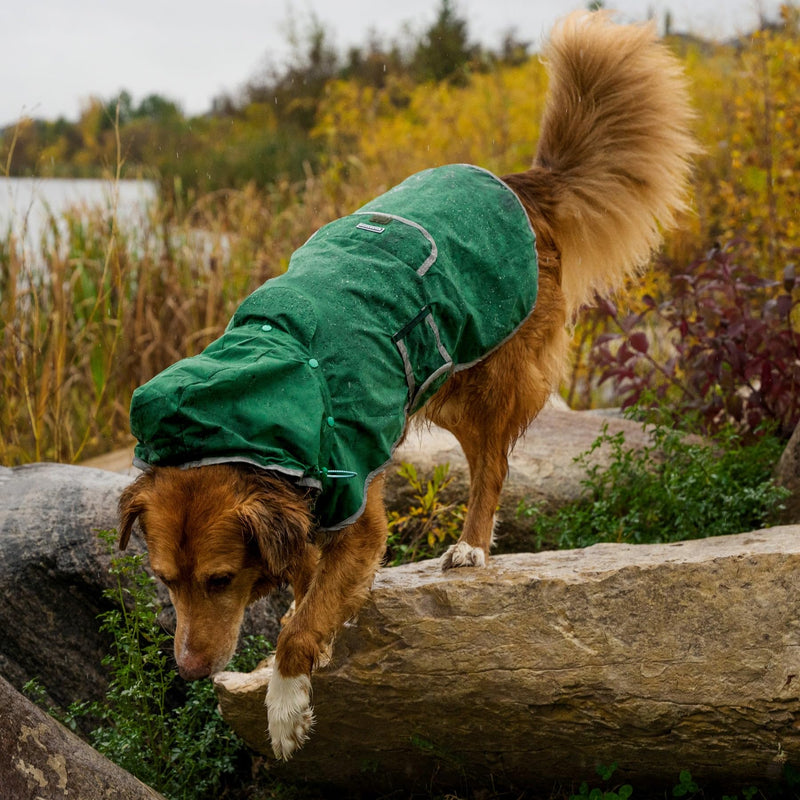 Wilderdog Dog Jacket Waterproof Raincoat with Breathable Interior, Removable Hood, Torso Strap, Secure Closures, Back Pocket and Two Hanging Loops, Foldable into Back Pocket Medium Green - PawsPlanet Australia