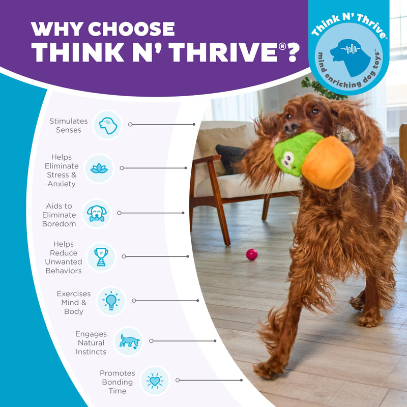 Outward Hound Nina Ottosson Snack Palz Interactive Plush Dog Puzzle with Treat Ball, Dog Enrichment Toys, Stuffable Dog Toy, Plush, Cactus, Green - PawsPlanet Australia
