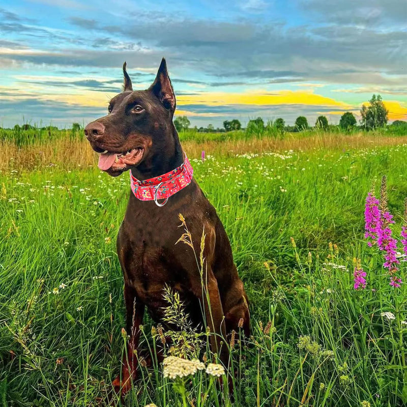 Martingale Dog Collar 1.5” Width – Heavy Duty Adjustable Training Collar with Stylish Red Floral Design – Secure Fit for Medium & Large Dogs – Perfect for Walking, Hunting & Outdoor Adventures M 7 M Neck 15-20" - PawsPlanet Australia