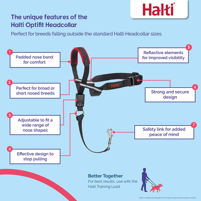 HALTI Optifit Headcollar - To Stop Your Dog Pulling on the Leash. Adjustable, Reflective and Lightweight, with Padded Nose Band. Dog Training Anti-Pull Collar for Medium Dogs (Size Medium) - PawsPlanet Australia