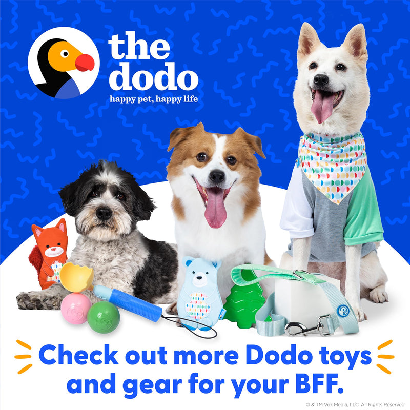 The Dodo All Nylon Blue and Green Collar and Leash Set - Small; Matching Cute Leash and Collar Set, Waterproof Dog Leash and Collar Set, Perfect for Beach Day or Trips to The Lake