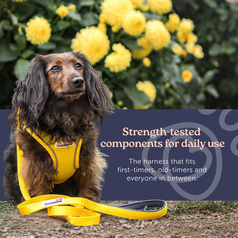 Doodlebone – Snappy Harness Dog Harness – Easy Step In Vest Style Harness, No Over Head Fit, Reflective & Machine Washable for Puppies and Small Dogs – Size 3, 46-52cm - Coal - PawsPlanet Australia