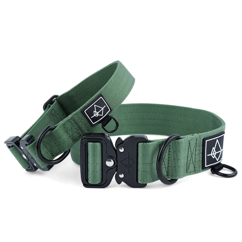 Made to ROAM Premium Dog Collar - Adjustable Heavy Duty Nylon Collar with Quick-Release Metal Buckle (Oregon Haze, Classic Size 4) Oregon Haze Classic 4 - PawsPlanet Australia