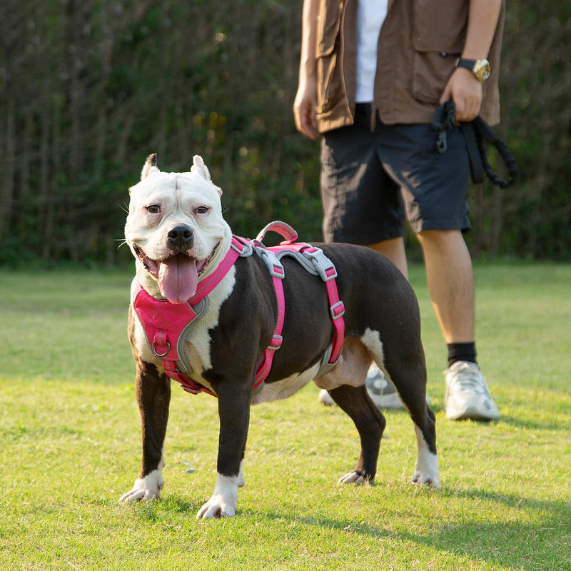 Huntboo Escape Proof Harness, No Slip Dog Harness Escape Proof, Reflective Harness with Handle, Breathable, Durable, Adjustable Vest for Large Dogs Walking, Training, and Running Gear (Rose red, L) Large(Pack of 1) Rose red - PawsPlanet Australia