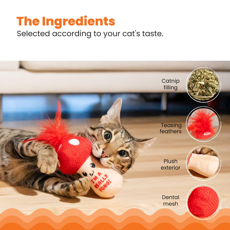 Catstages A Really Fungi Mushroom Kicker Catnip Toy and Dental Toy for Cats Mushroom Themed Funny Catnip Stuffed Kicker Toy, Red - PawsPlanet Australia