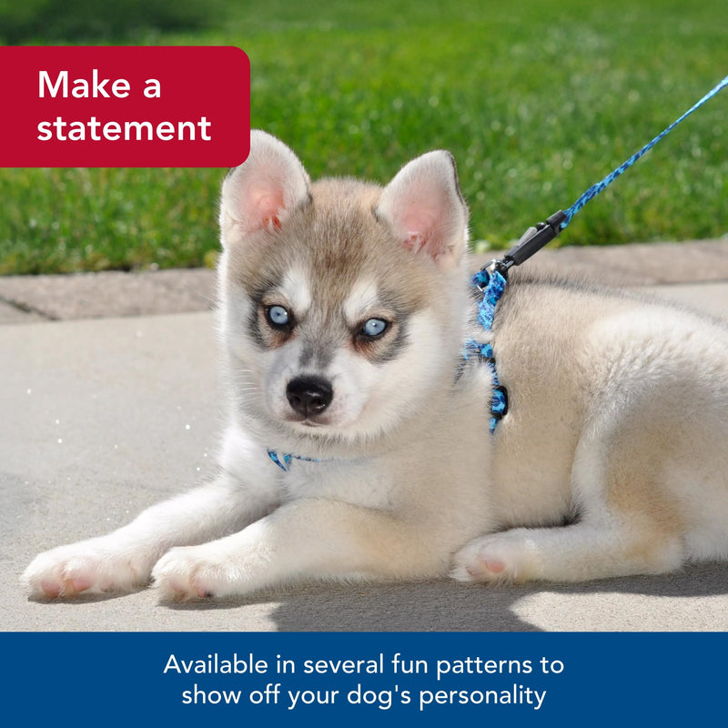 Coastal - Li’l Pals Patterned Dog Leash with E-Z Snap - Snap onto Dog Collars and Harnesses - Light Blue Paw - 3/8” x 6’ 3/8" x 06' (Pack of 1) - PawsPlanet Australia