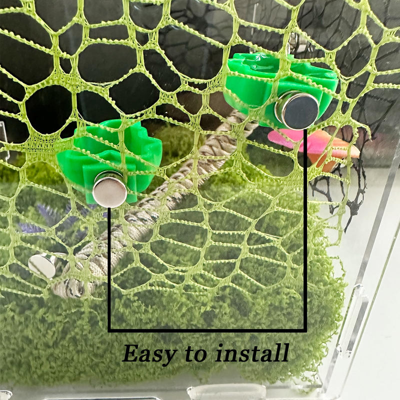 2 PCS Jumping Spider Feeding Dish, Leaf Shape Tiny Food Dishes Water Bowl with 1PC Tweezer and 1PC Dropper for Jumping Spider, Tarantula and Other Small Pets - PawsPlanet Australia