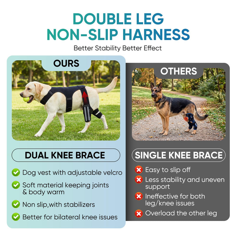 Dog Knee Brace for Back Leg Hind Leg ACL Dog Brace Support Adjustable Double Dog Leg Brace with Stabilizers, Helps with Torn CCL, Luxating Patella, Ligament Injuries,L L Black 1