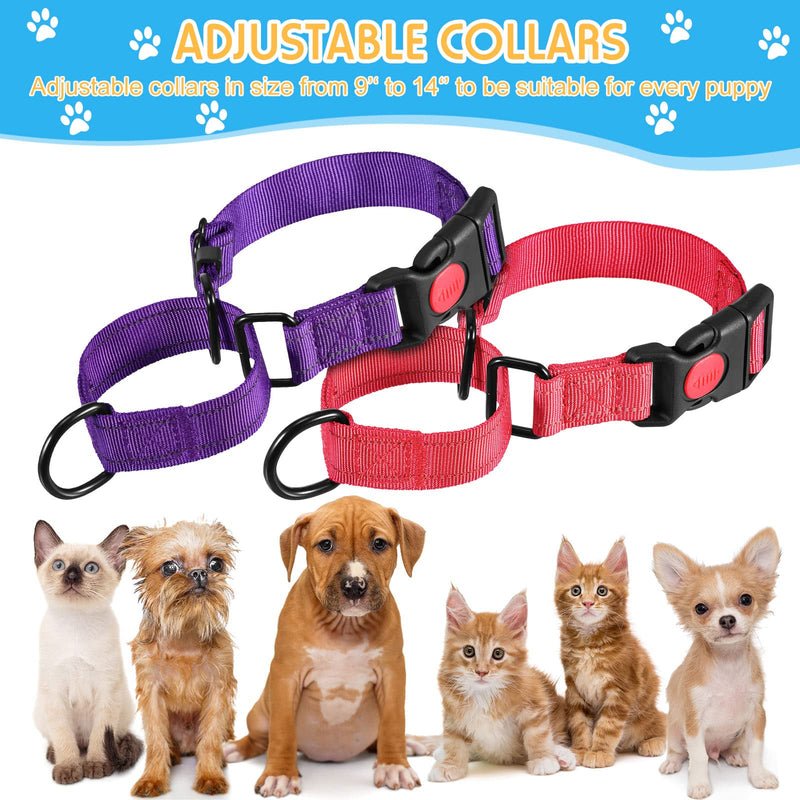 6 Pcs Multicolor Nylon Martingale Dog Collar Adjustable Martingale Collar with Buckle Small Training Collar for Dogs Puppy Collar for Dogs Puppy Training - PawsPlanet Australia