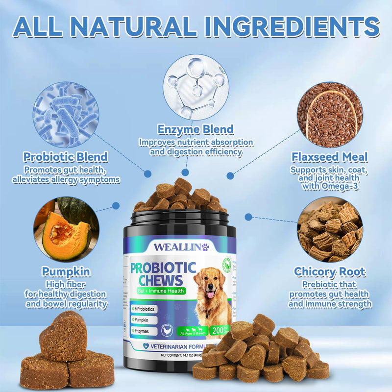 Probiotics for Dogs - Dog Probiotic Chews 200 Chews for Gut Health, Digestive Support & Itchy Skin Relief Pet Diarrhea Gas Treatment - Probiotics, Digestive Enzymes, Prebiotics, Pumpkin