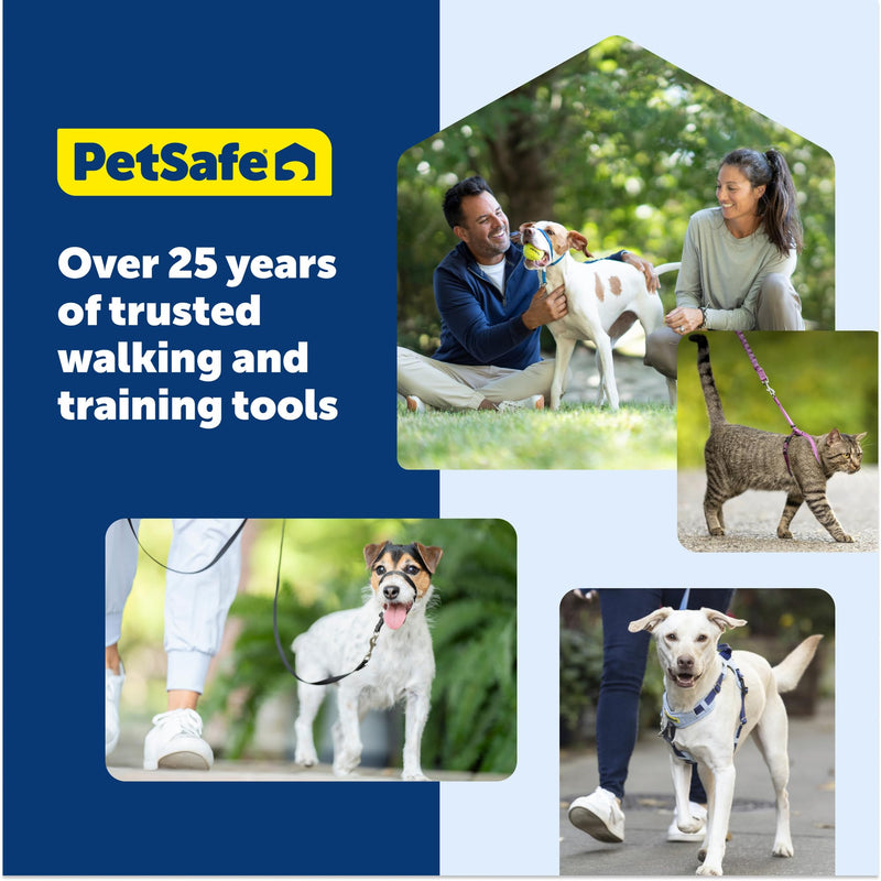 PetSafe Easy Walk Comfort No-Pull Dog Harness - Better Walk Training Harness - Full Body Padded Design - Durable Fabric - 5 Point Adjustable Fit - Everyday Leash Training - Green - Medium/Large