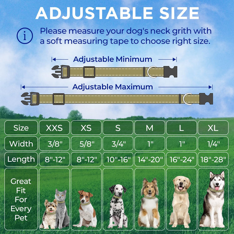 TECEUM Reflective Dog Collar – Olive – XXS – Basic Nylon Pet Collar – Quick Release Buckle – Fits Small, Medium and Large Dogs, Puppies, Cats – ESA & Service Dog Options