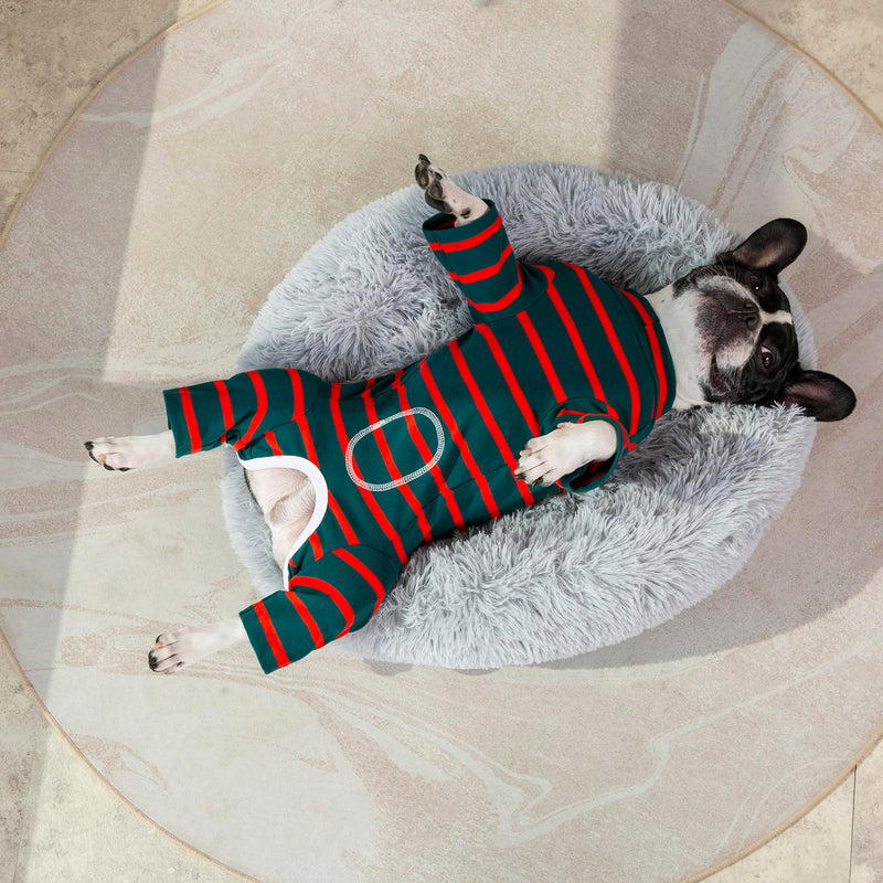 Dog Surgery Recovery Suit for Male/Female, Post Surgery Dog Shirt, After Surgery Dog Bodysuit, E-Collar & Cone Alternative Surgical Clothes, Anti-Licking Dog Snugly Onesie Medium Dark Green - PawsPlanet Australia