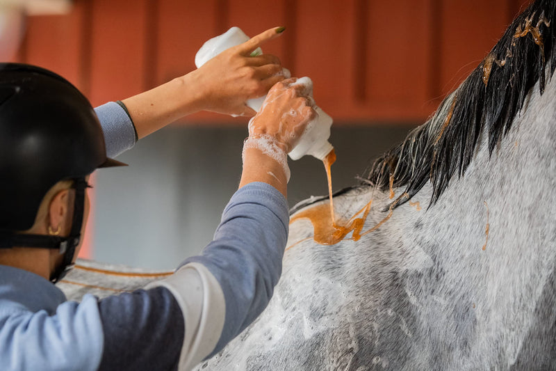 Kawell USA Natural Horse Shampoo for Skin and Coat Care - suitable for Minor Injuries, Cuts, Ulcers, Skin Allergies and Irritations, infused with Matico Healing Properties, 32 oz.