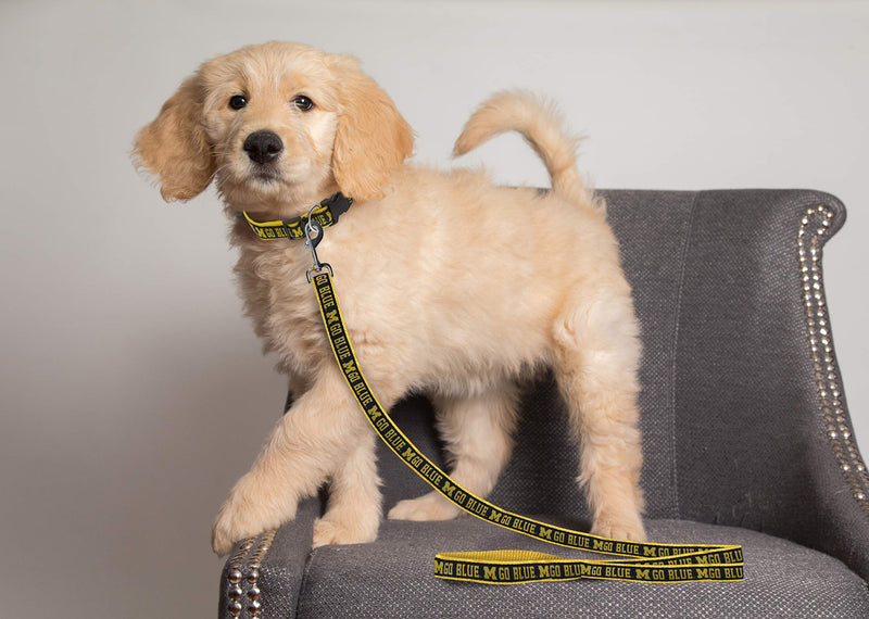 NCAA PET Leash, Large, Michigan Wolverines, Dog Leash, Shiny & Colorful Leash for Dogs & Cats Licensed by The NCAA, Old Version - PawsPlanet Australia