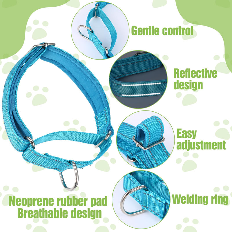 12 Pcs Martingale Collar for Dogs, Martingale Dog Collars Reflective Dog Collars for Medium Dogs (12 Colors) - PawsPlanet Australia