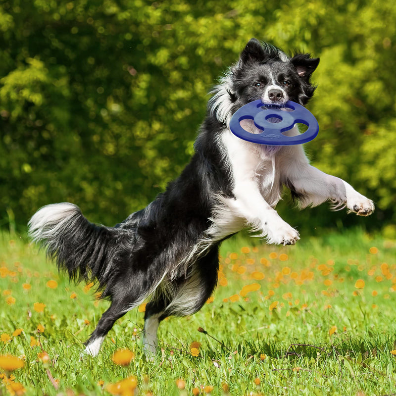 SuperChewy Tough Tug-of-War Flying Disc Toy | Lifetime Replacement | Strong Natural Rubber | Great Tug Disc Fetch Toy for Dogs | Ultra Durable Chew Toy for Aggressive Chewers | for All Breeds Tug Frisbee - PawsPlanet Australia