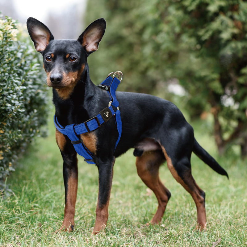 Kruz No Pull Dog Harness (Chest 26”-38”, Weight 44-88 lbs) Heavy-Duty Pet Harness for Large Breeds, Ultra-Comfort Fit, Lifetime Durability, Adjustable Dog Harness No Pull Design (Black, Large) Black