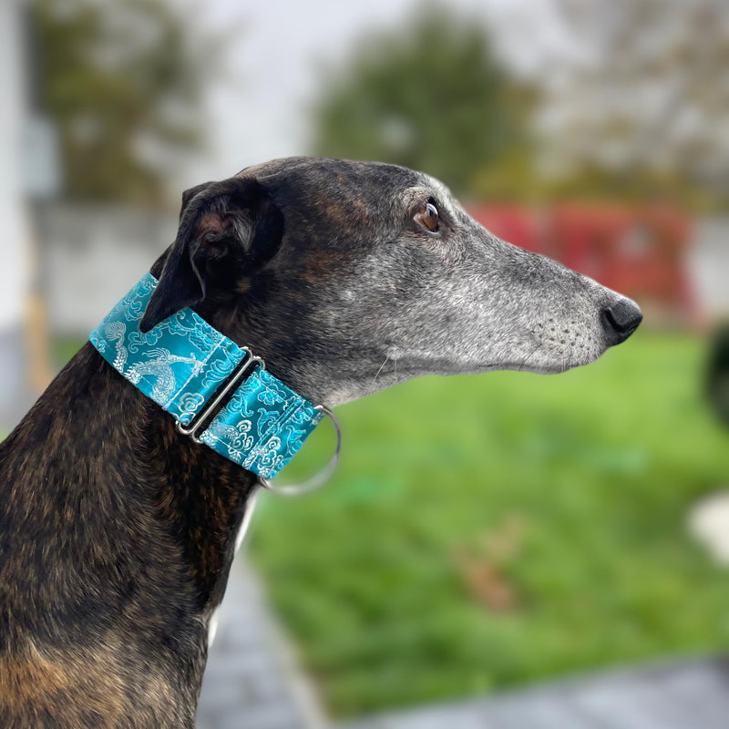 Extra Soft Martingale Dog Collar for Greyhound Saluki Whippet and Other Breeds with Similar Neck 2" Wide (14"-18") 14"-18" - PawsPlanet Australia