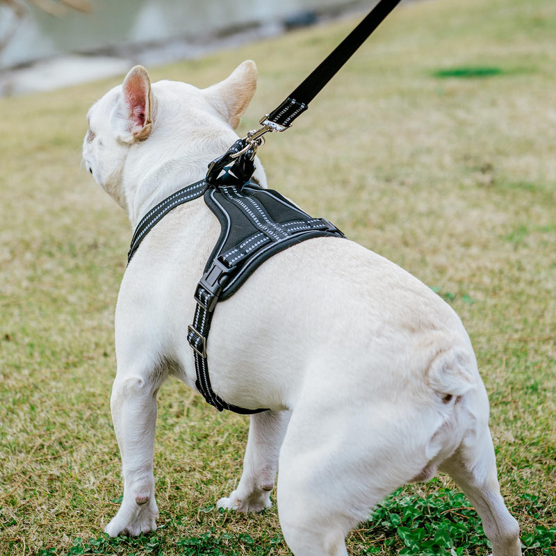 PUPTECK Dog Harness and Leash Set for Small Medium Sized Dogs, No Pull Training Dog Vest Harness, Adjustable Reflective Dog Soft Padded Vest, Black, M - PawsPlanet Australia