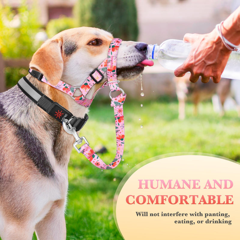 No-Pull Dog Headcollar - Adjustable Head Halter Collar for Dogs, Padded Gentle Lead to Stop Heavy Pulling on The Leash, Anti-Pull Training Muzzle for Easy Control on Walks (Pink, Medium) Pink - PawsPlanet Australia